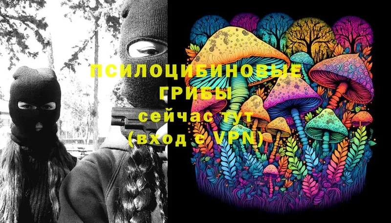 Псилоцибиновые грибы Psilocybe  Болгар 